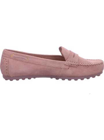 Bagatt Slipper in rose