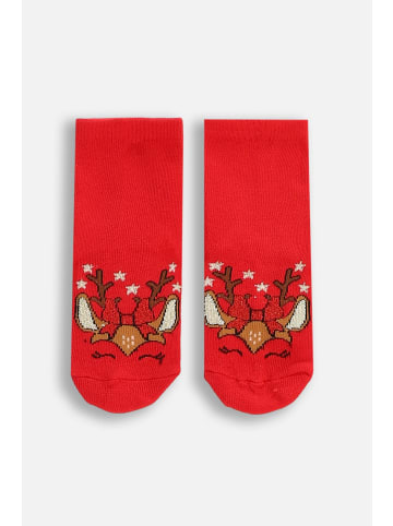 Coccodrillo Socken Xmas in rot