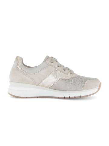 Gabor Comfort Sneaker low in beige