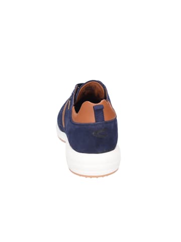 Camel Schnürschuhe in navyblue