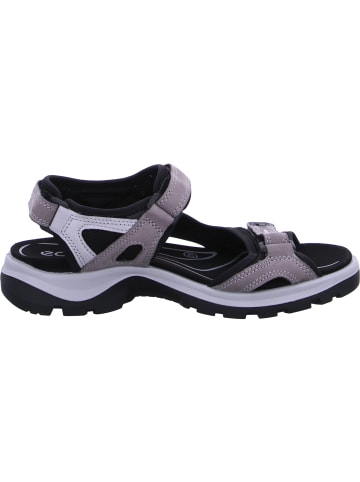 Ecco Sandale Offroad in Grau