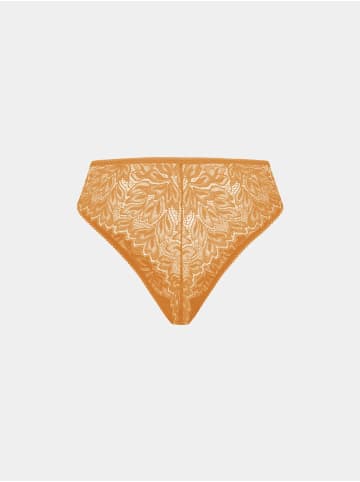 Erlich Textil  ICONIC LACE HIGH WAIST BRAZIL STRING in aprikose
