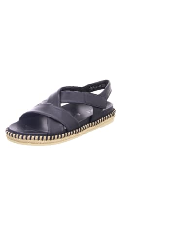 Gabor Riemchen Sandalen für Damen in schwarz