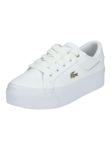 Lacoste Sneaker in Weiß/Gold