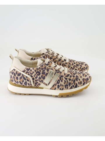 Paul Green Sneaker low in Braun