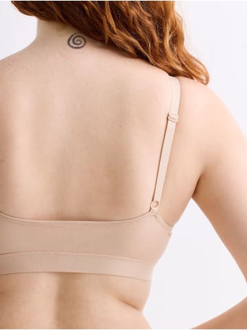 Erlich Textil  Erlich Textil SEAMLESS Triangel Bustier CASUAL COTTON TRAINGEL BRALETTE in ton