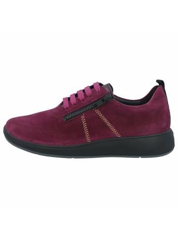 Solidus Freizeit Schnürer für Damen in cognac