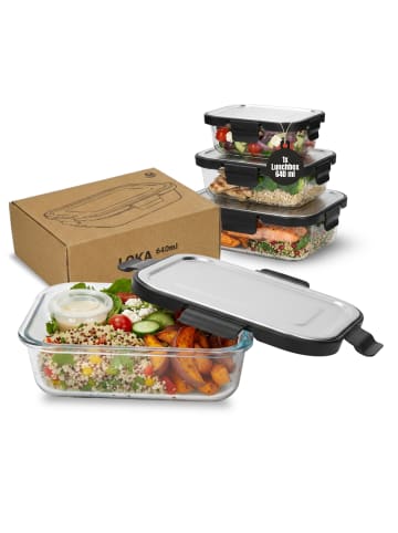 elasto Glasbox "Loka" 640 ml in transparent