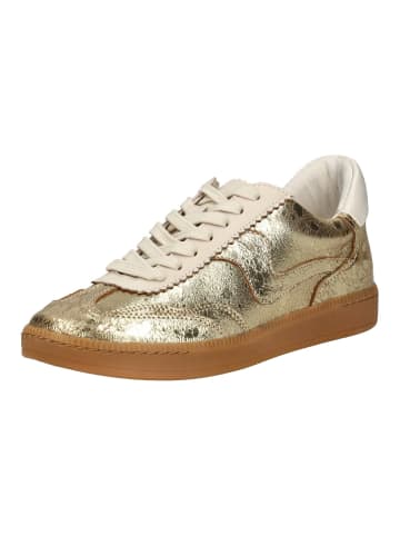 DOLCE VITA Sneaker Gold