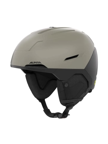 Alpina Skihelm ohne Visier in grau