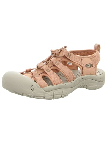 Keen Sandalen in rosa