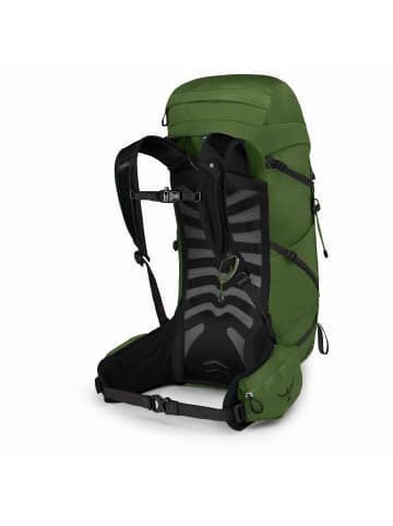 Osprey Talon 33 L/XL - Wanderrucksack 65 cm in green belt/black