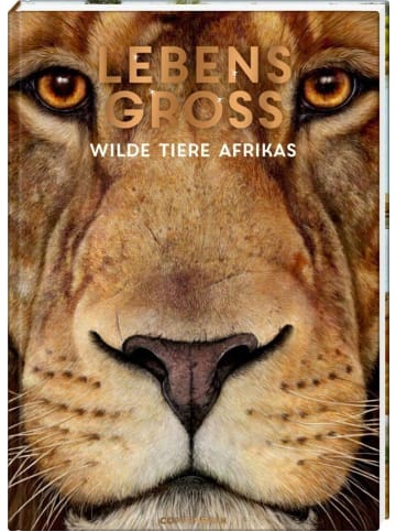 Coppenrath Lebensgroß | Wilde Tiere Afrikas