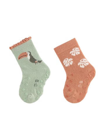 Sterntaler ABS Krabbelsocken 2er-Pack Turkan in hellgrün