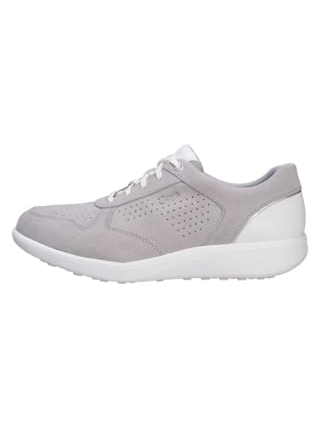 Joya SchnĆ¼rschuh BRITT LIGHT GREY in grau