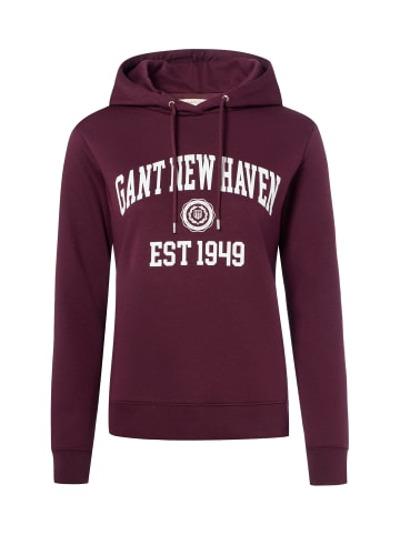 Gant Sweatshirt in aubergine - 0001