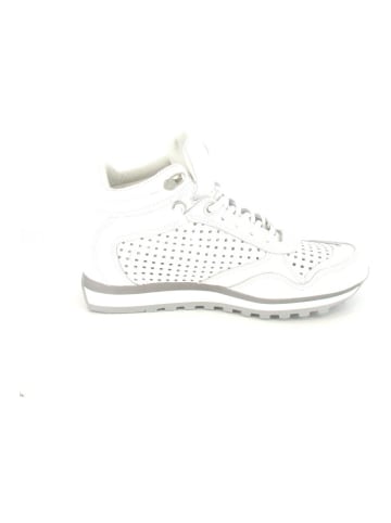 Cetti Sneaker high nature all white in Nature