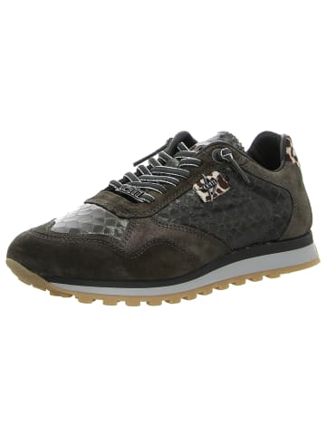 Cetti Sneaker Low in musgo