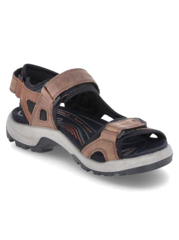 Ecco Outdoorsandalen Offroad in espresso/cocoa brown/black