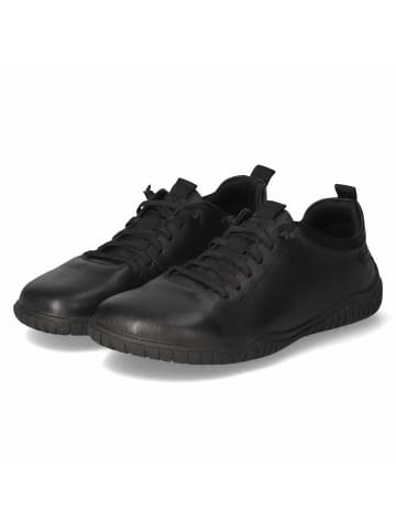 Josef Seibel Schnürhalbschuh in schwarz