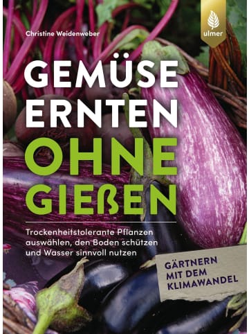 Ulmer Gemüse ernten ohne gießen | Trockenheitstolerante Pflanzen auswählen, den...