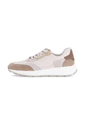 Gabor Sneaker low in beige