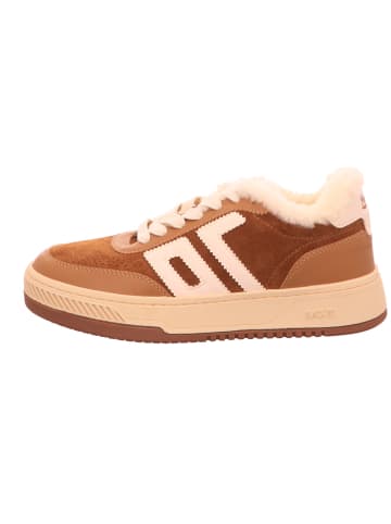 Back 70 Schnürschuh in braun