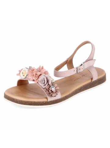Apple of Eden Sandalen ISA in rosa