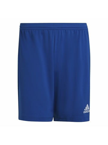 adidas für Herren in uni