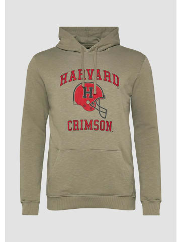 s.Oliver Sweatshirt Jacke in 78D1_olivgrün