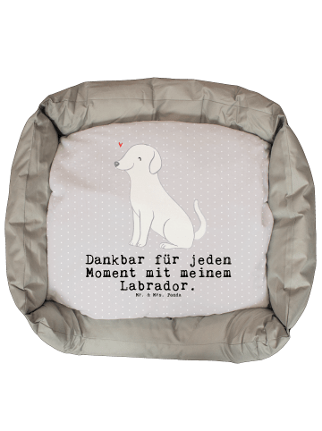 Mr. & Mrs. Panda Haustierkissen Labrador Moment mit Spruch in Grau Pastell