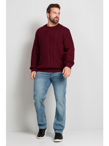 Boston Park Pullover in bordeaux