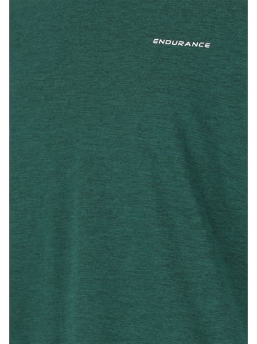Endurance T-Shirt Abdon in 3200 Sea Moss