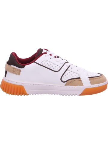 Scotch & Soda Sneaker New Cup in Weiß