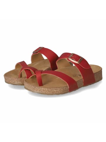 HAFLINGER Pantolette in rot