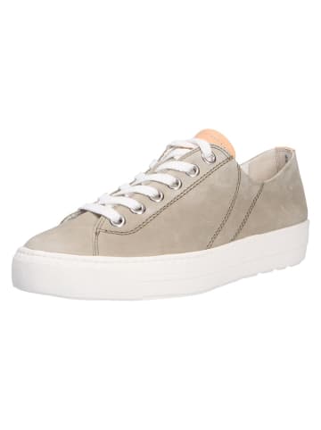 Paul Green Schnürschuhe in beige