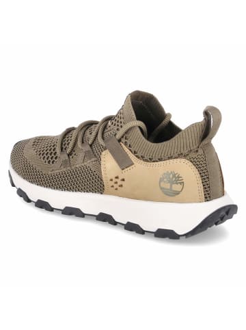 Timberland Schnürhalbschuh in grün