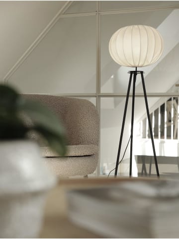 PR Home Base Tripod Stehleuchte
