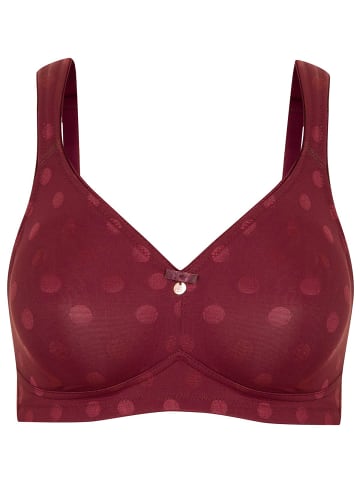 SUSA BH ohne Bügel Rhodos in ruby red