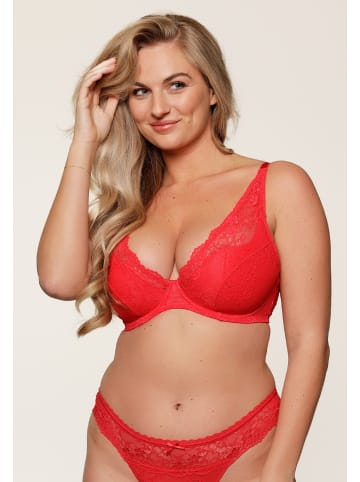 Linga Dore Triangle plunge BH DAILY in Rot