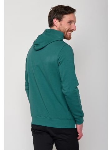 GreenBomb Star Animal Ice Bear in Dschungel Grün