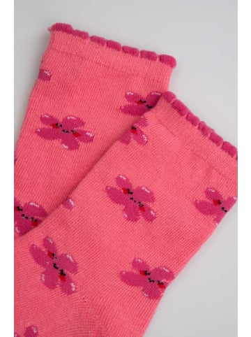 Coccodrillo Socken in korallenrot