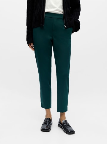 Object Hose in Ponderosa Pine 1