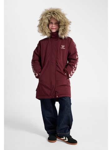 Hummel Mantel Daumenlöcher Hmlleaf Lebensstil Mädchen in WINDSOR WINE2