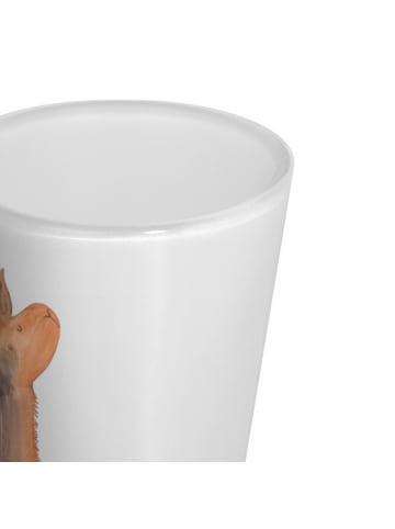 Mr. & Mrs. Panda Pinnchen Lamakopf König ohne Spruch in Transparent