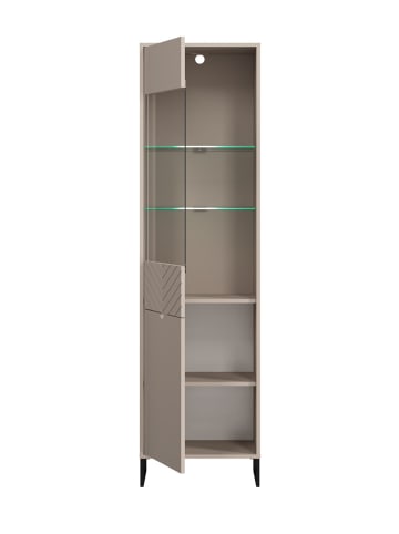 Feldmann-Wohnen Vitrine Caseres Kaschmir | schwarz 50 / 38 / 184cm