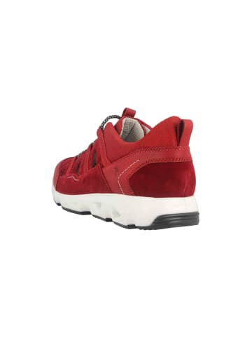 Josef Seibel Sneaker in Rot