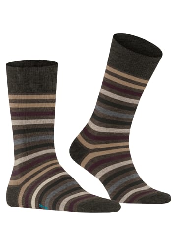 Falke Socken Tinted Stripe in Beech