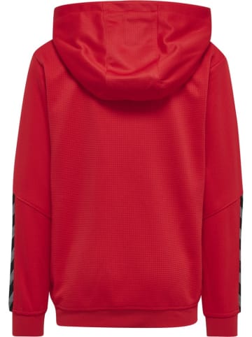 Hummel Kinder Sweatshirt "Hmlauthentic" in Rot