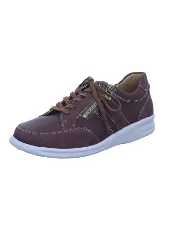 Ganter Kurt Kurt in caffee